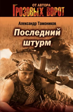 Последний штурм Александр Тамоников