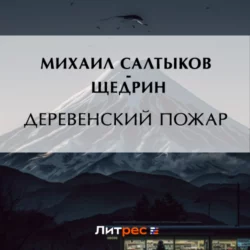 История одного города Михаил Салтыков-Щедрин