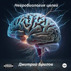 Нейробиология целей, Дмитрий Брилов