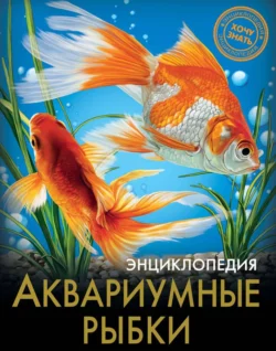 Аквариумные рыбки, Лада Александрова