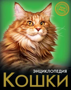Кошки, Леся Калугина