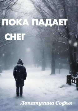 Пока падает снег, Софья Лопатухина